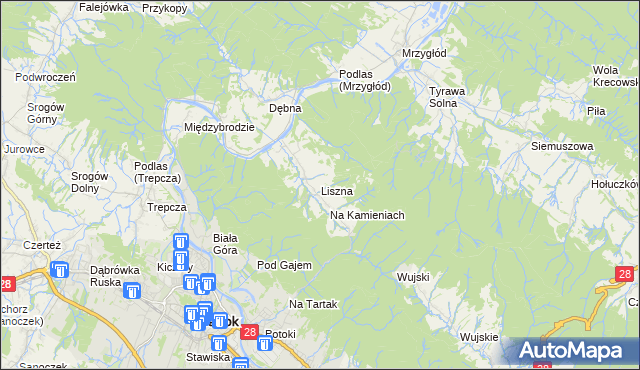mapa Liszna gmina Sanok, Liszna gmina Sanok na mapie Targeo