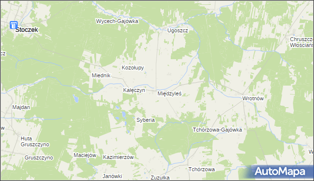 mapa Międzyleś gmina Miedzna, Międzyleś gmina Miedzna na mapie Targeo