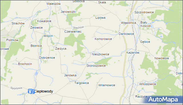 mapa Nieszkowice gmina Strzelin, Nieszkowice gmina Strzelin na mapie Targeo