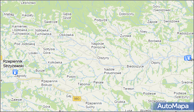 mapa Olszyny gmina Rzepiennik Strzyżewski, Olszyny gmina Rzepiennik Strzyżewski na mapie Targeo