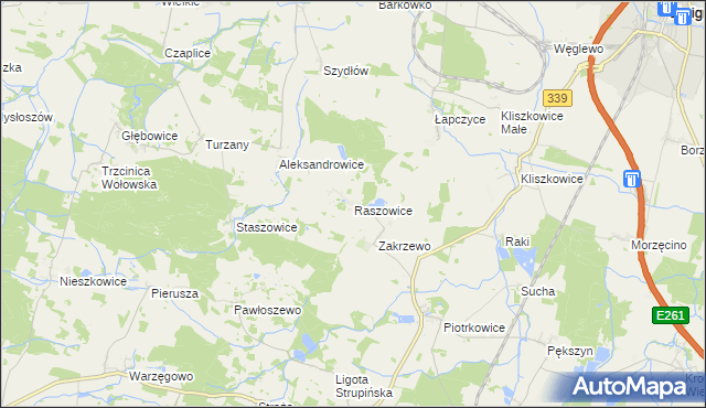 mapa Raszowice, Raszowice na mapie Targeo