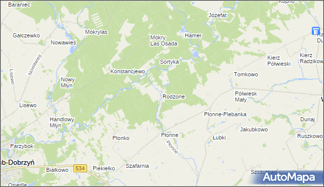 mapa Rodzone gmina Radomin, Rodzone gmina Radomin na mapie Targeo