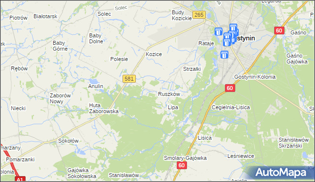 mapa Ruszków gmina Gostynin, Ruszków gmina Gostynin na mapie Targeo