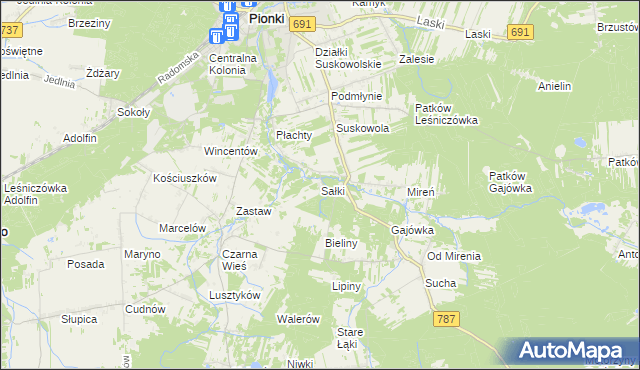 mapa Sałki gmina Pionki, Sałki gmina Pionki na mapie Targeo