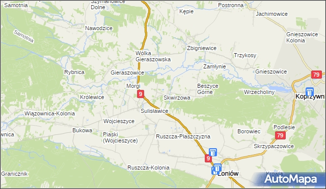 mapa Skwirzowa, Skwirzowa na mapie Targeo