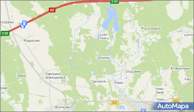 mapa Smolniki gmina Trzciel, Smolniki gmina Trzciel na mapie Targeo