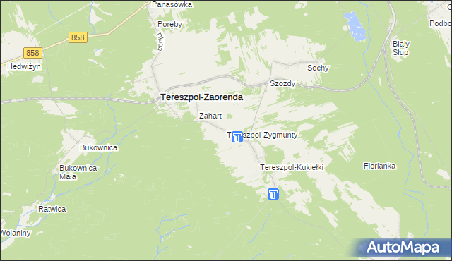 mapa Tereszpol-Zygmunty, Tereszpol-Zygmunty na mapie Targeo