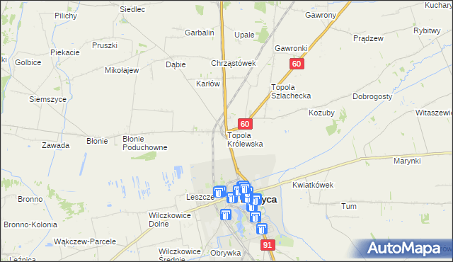 mapa Topola Królewska, Topola Królewska na mapie Targeo