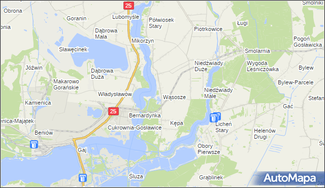 mapa Wąsosze gmina Ślesin, Wąsosze gmina Ślesin na mapie Targeo