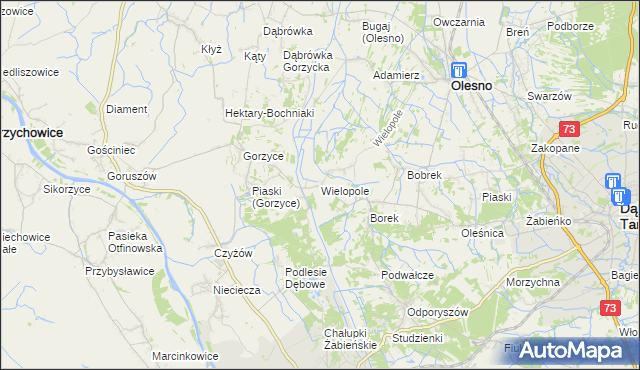 mapa Wielopole gmina Olesno, Wielopole gmina Olesno na mapie Targeo