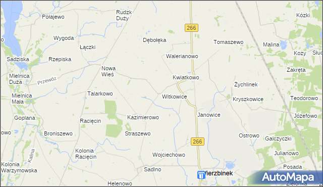 mapa Witkowice gmina Wierzbinek, Witkowice gmina Wierzbinek na mapie Targeo