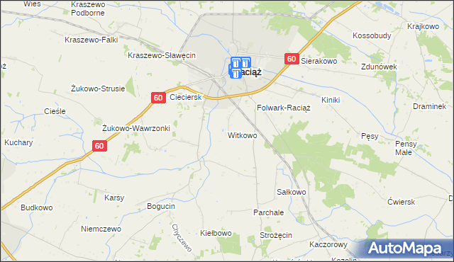 mapa Witkowo gmina Raciąż, Witkowo gmina Raciąż na mapie Targeo