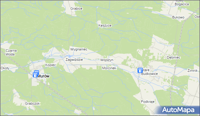 mapa Wojszyn gmina Murów, Wojszyn gmina Murów na mapie Targeo