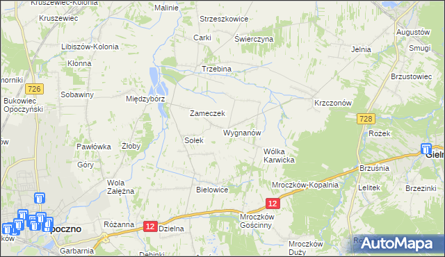 mapa Wygnanów gmina Opoczno, Wygnanów gmina Opoczno na mapie Targeo