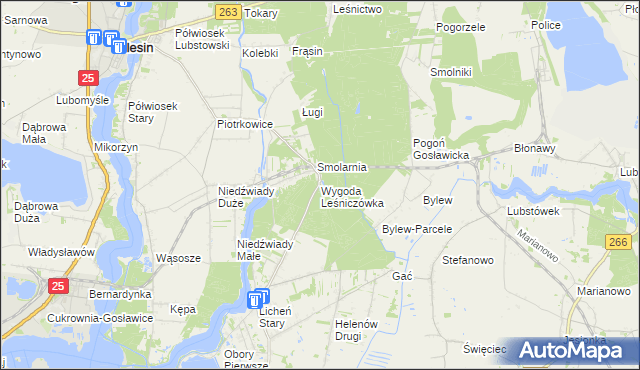 mapa Wygoda Leśniczówka gmina Ślesin, Wygoda Leśniczówka gmina Ślesin na mapie Targeo