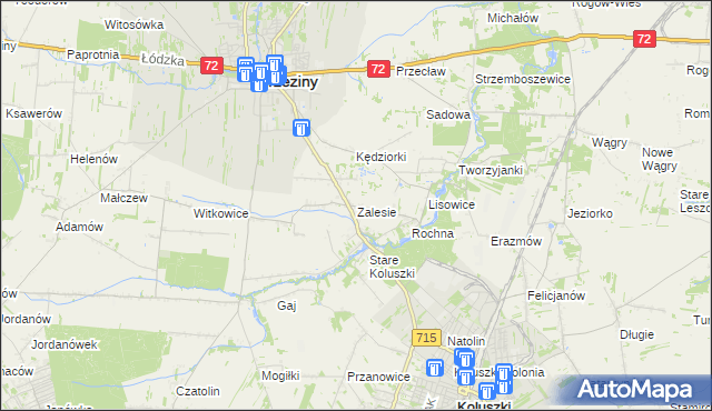mapa Zalesie gmina Brzeziny, Zalesie gmina Brzeziny na mapie Targeo