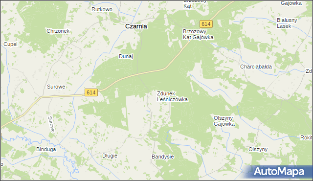 mapa Zdunek Leśniczówka, Zdunek Leśniczówka na mapie Targeo