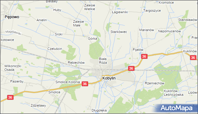 mapa Biała Róża gmina Kobylin, Biała Róża gmina Kobylin na mapie Targeo