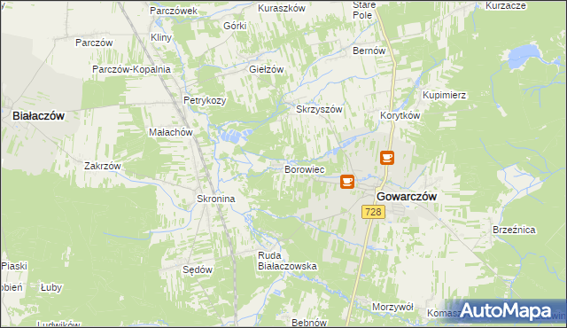 mapa Borowiec gmina Gowarczów, Borowiec gmina Gowarczów na mapie Targeo