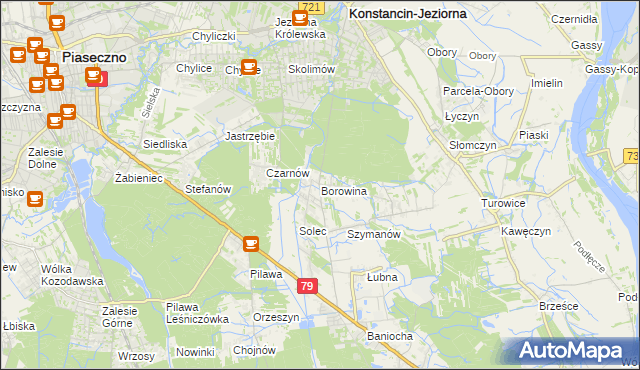 mapa Borowina gmina Konstancin-Jeziorna, Borowina gmina Konstancin-Jeziorna na mapie Targeo