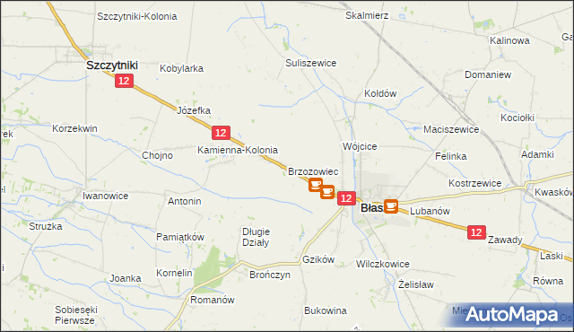 mapa Brzozowiec gmina Błaszki, Brzozowiec gmina Błaszki na mapie Targeo