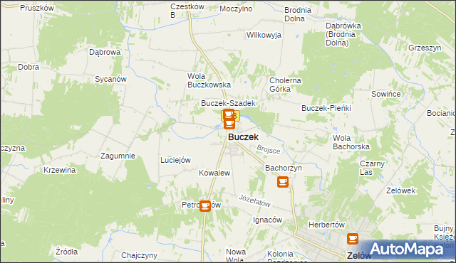 mapa Buczek powiat łaski, Buczek powiat łaski na mapie Targeo