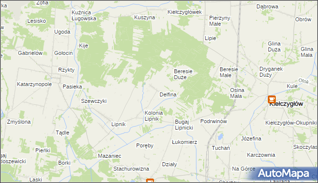 mapa Delfina gmina Siemkowice, Delfina gmina Siemkowice na mapie Targeo