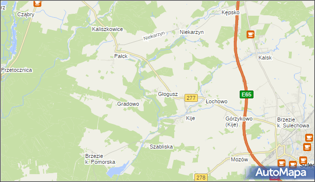 mapa Głogusz, Głogusz na mapie Targeo