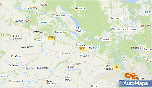 mapa Krzywie gmina Gostynin, Krzywie gmina Gostynin na mapie Targeo