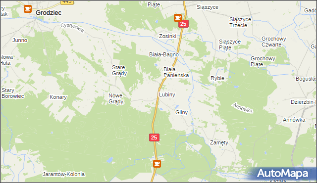 mapa Lubiny gmina Rychwał, Lubiny gmina Rychwał na mapie Targeo