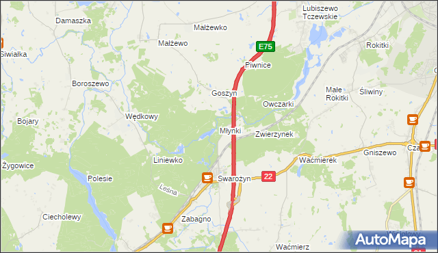 mapa Młynki gmina Tczew, Młynki gmina Tczew na mapie Targeo