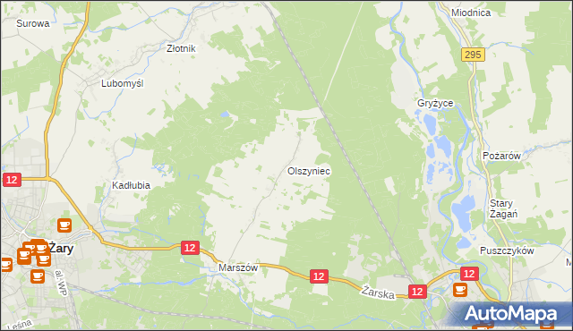 mapa Olszyniec gmina Żary, Olszyniec gmina Żary na mapie Targeo