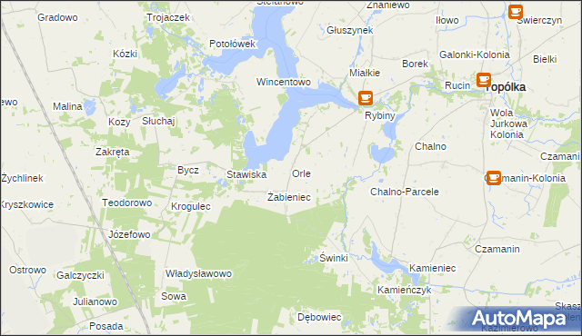 mapa Orle gmina Topólka, Orle gmina Topólka na mapie Targeo