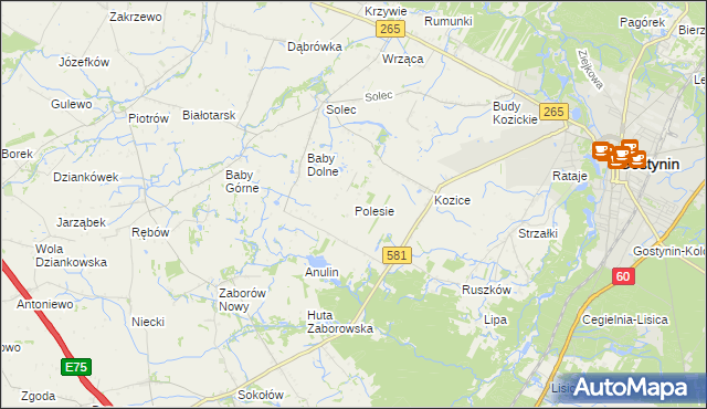 mapa Polesie gmina Gostynin, Polesie gmina Gostynin na mapie Targeo