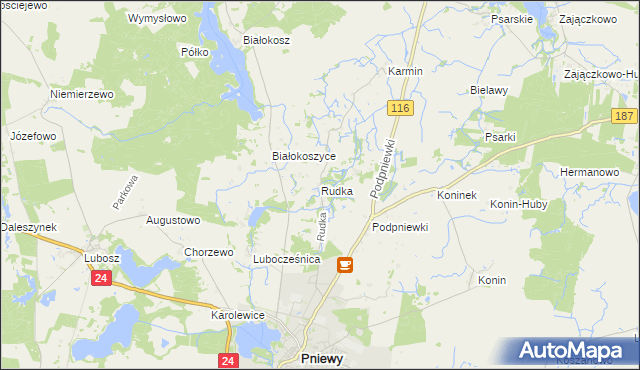 mapa Rudka gmina Pniewy, Rudka gmina Pniewy na mapie Targeo