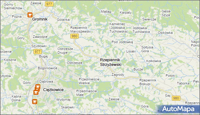mapa Rzepiennik Strzyżewski, Rzepiennik Strzyżewski na mapie Targeo