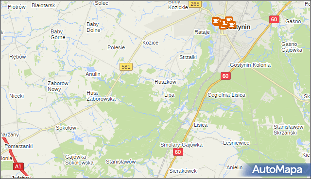 mapa Sałki gmina Gostynin, Sałki gmina Gostynin na mapie Targeo