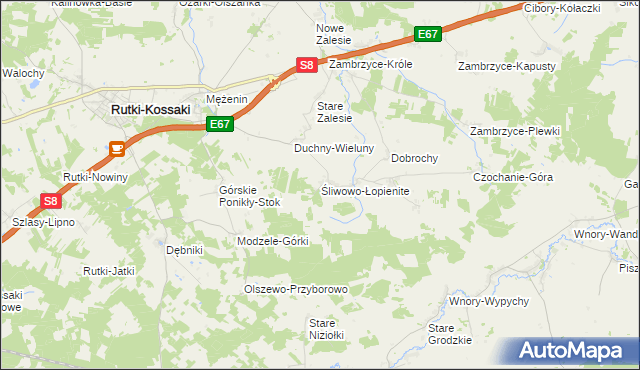 mapa Śliwowo-Łopienite, Śliwowo-Łopienite na mapie Targeo