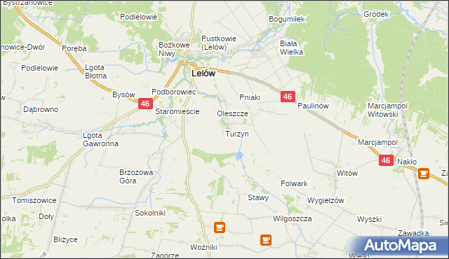 mapa Turzyn gmina Lelów, Turzyn gmina Lelów na mapie Targeo