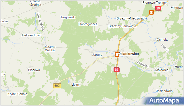 mapa Zaręby gmina Dziadkowice, Zaręby gmina Dziadkowice na mapie Targeo