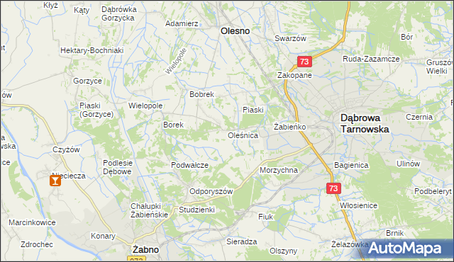 mapa Oleśnica gmina Olesno, Oleśnica gmina Olesno na mapie Targeo