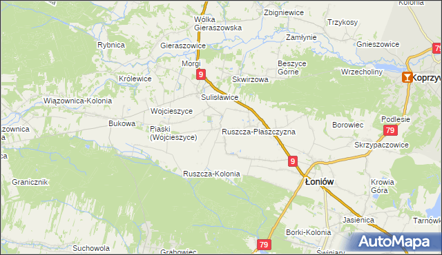 mapa Ruszcza-Płaszczyzna, Ruszcza-Płaszczyzna na mapie Targeo