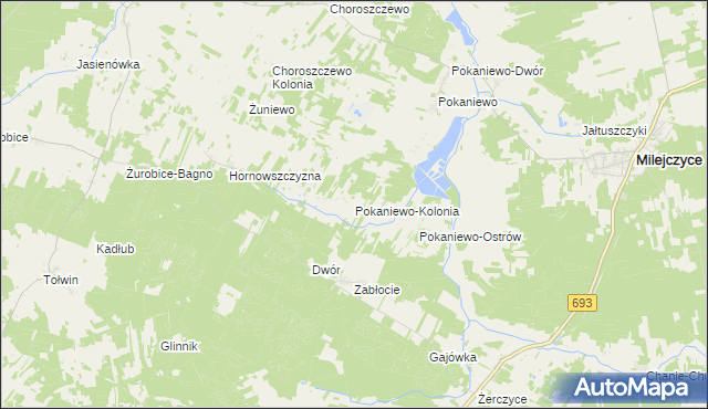 mapa Pokaniewo-Kolonia, Pokaniewo-Kolonia na mapie Targeo