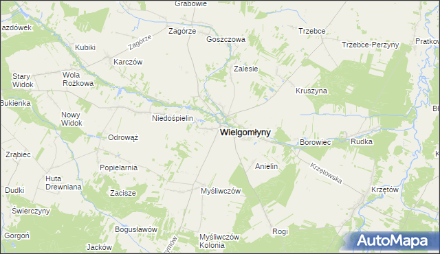 mapa Wielgomłyny, Wielgomłyny na mapie Targeo