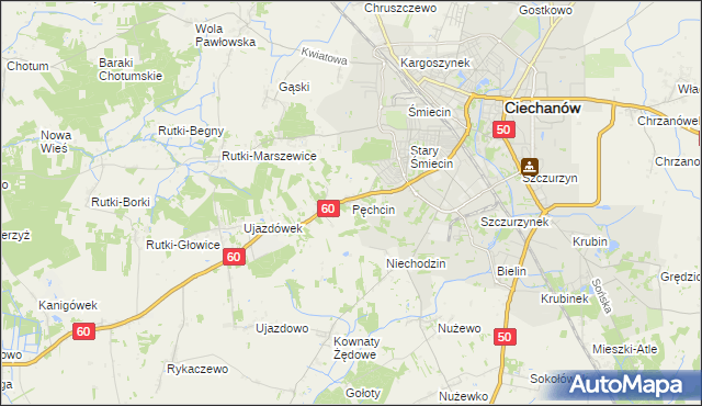 mapa Pęchcin, Pęchcin na mapie Targeo