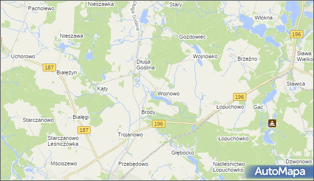 mapa Wojnowo gmina Murowana Goślina, Wojnowo gmina Murowana Goślina na mapie Targeo