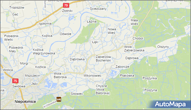 mapa Zabierzów Bocheński, Zabierzów Bocheński na mapie Targeo