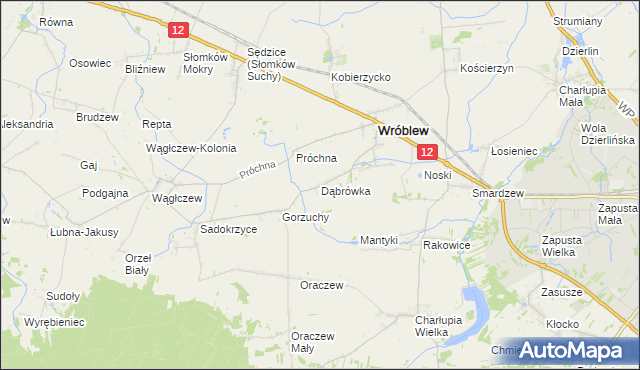 mapa Dąbrówka gmina Wróblew, Dąbrówka gmina Wróblew na mapie Targeo