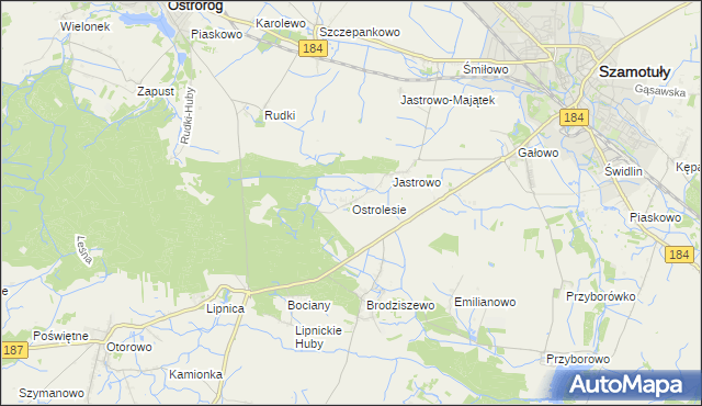 mapa Ostrolesie, Ostrolesie na mapie Targeo