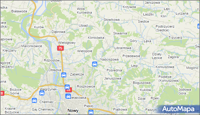 mapa Naściszowa, Naściszowa na mapie Targeo